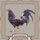 brassback gamefowl history|Brassback: Yer Spangle Bruiser » Reach Unlimited.